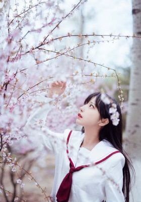 战狼电视剧